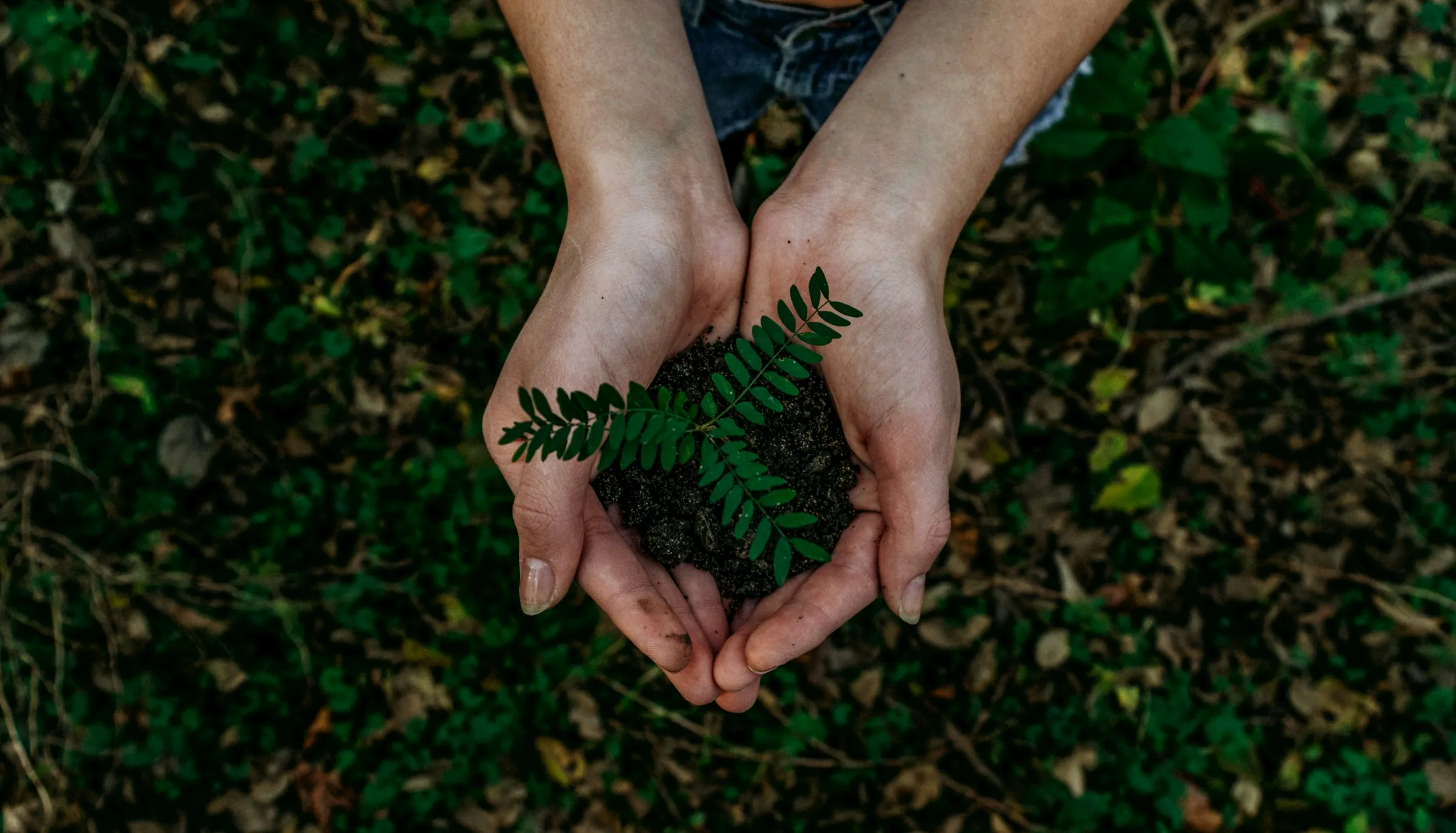 Eco-friendly wedding trends overview, featuring sustainable decor, digital invitations, and locally sourced flowers, highlighting a modern, environmentally conscious wedding setup.