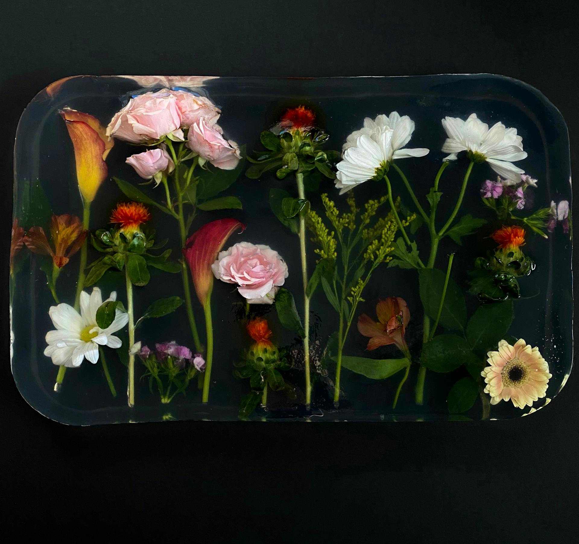 Preserved Flowers in Resin