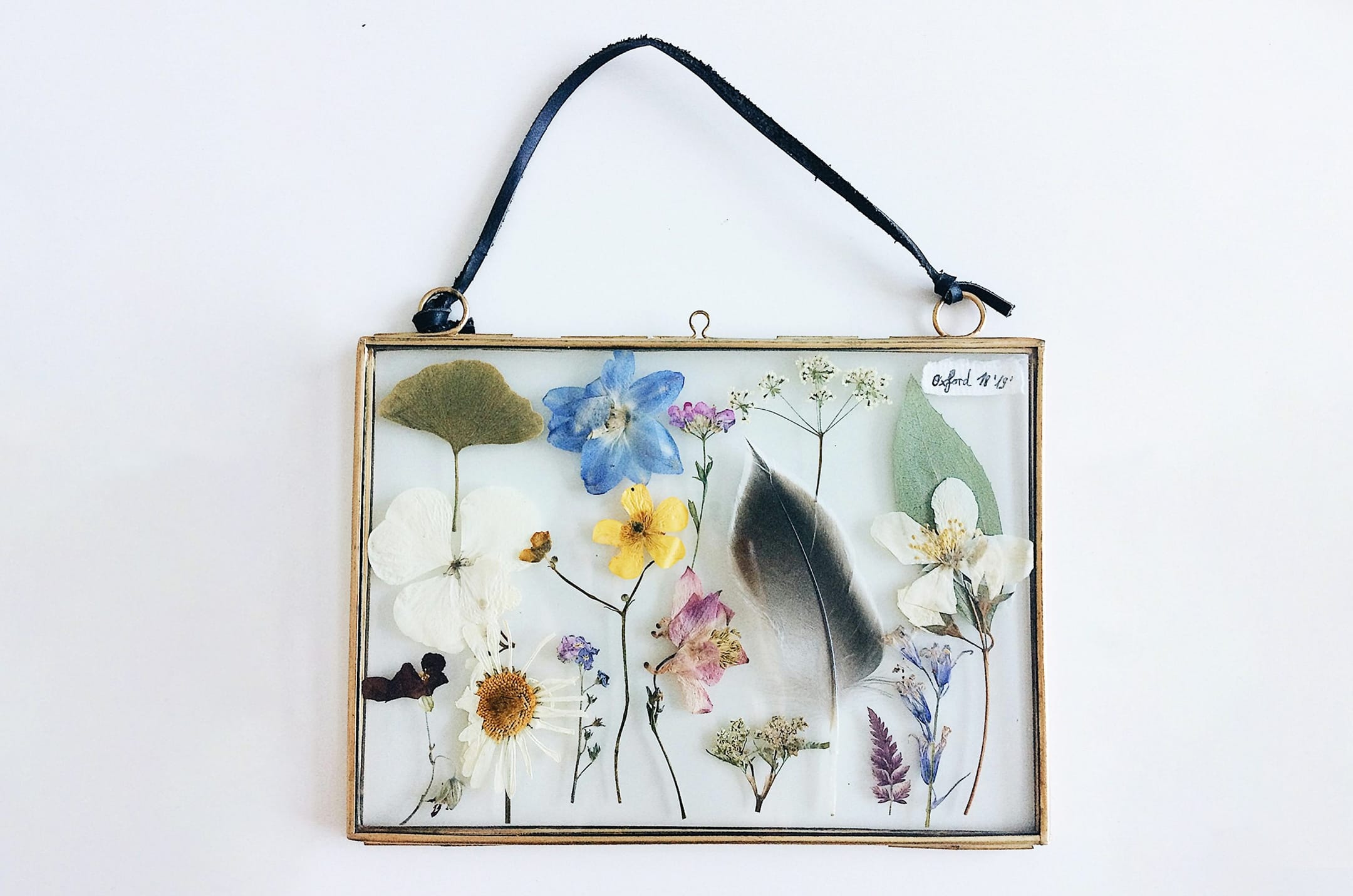 Preserved flowers in a frame